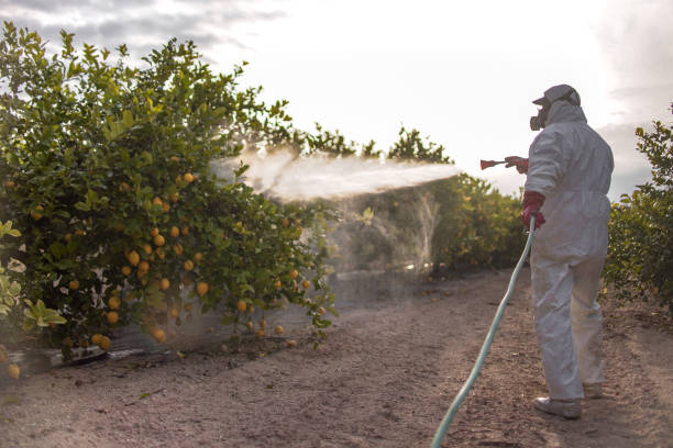 Best Insect Control  in Cedar City, UT